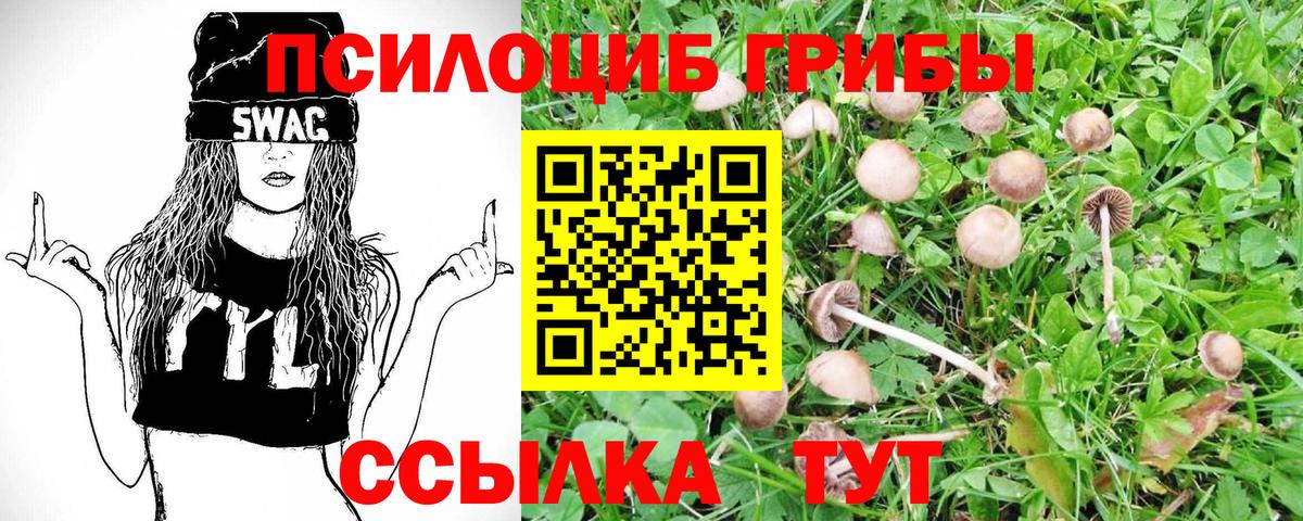 Буйнакск  Псилоцибиновые грибы мухоморы  Галлюциногенные грибы Psilocybine cubensis  Вход с VPN 