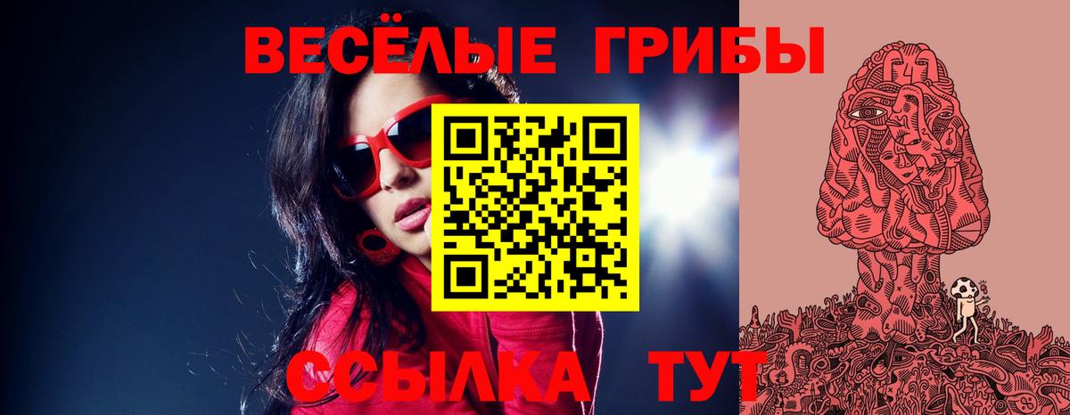 Псилоцибиновые грибы прущие грибы Буйнакск